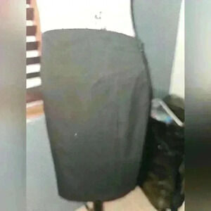 Express Womans Skirt Size 6